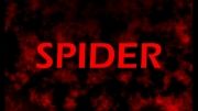 SPIDER logo