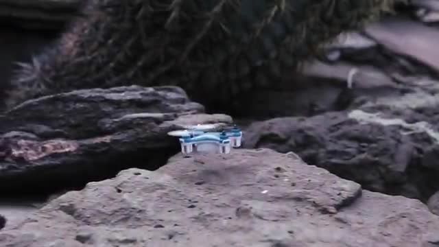 WALLET DRONE : کوچکترین بهباد دنیا