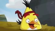 انیمیشن سریالی Angry Birds Toons | قسمت 51 |Chucked Out