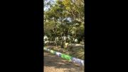 ویدیو صحنه اهسته از افتادن از درخت توسط ایفون 5s خودم 1