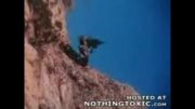 شکار کردن بز کوهی توسط عقاب