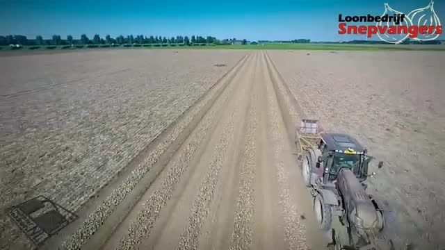 Onions harvest with Valtra T183 | T152 | N142 - Snepvan