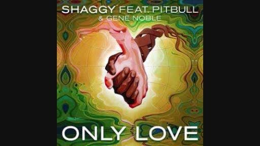 آهنگ جدید Only Love ........ Pitbull ft Shaggy