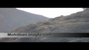 مشاهده پلنگ ایرانی در الموت غربی برای دومین بار