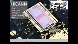 From BrainScales to Human Brain Project