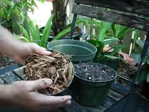 آموزش تهیه خاک مرغوب برای کاشت گل