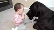 دعوای کودک با سگ!!!