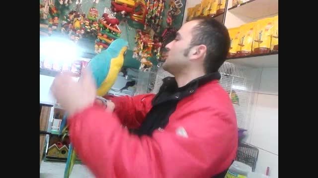 منو آرا در فروشگاه آقای شایگان-تهران خیابان شریعتی