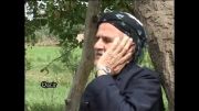 گورانی کوردی (احمد احمدی) -قاجری بوکان