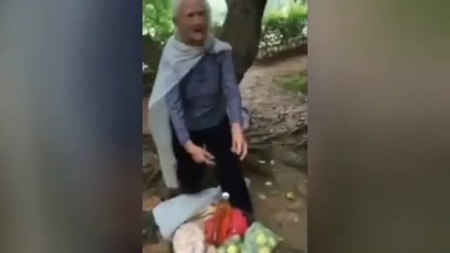 زن ۹۷ ساله ای که از درخت بالا رفته و میوه می چیند