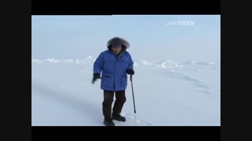 بر روی یخ نازک قطب شمال