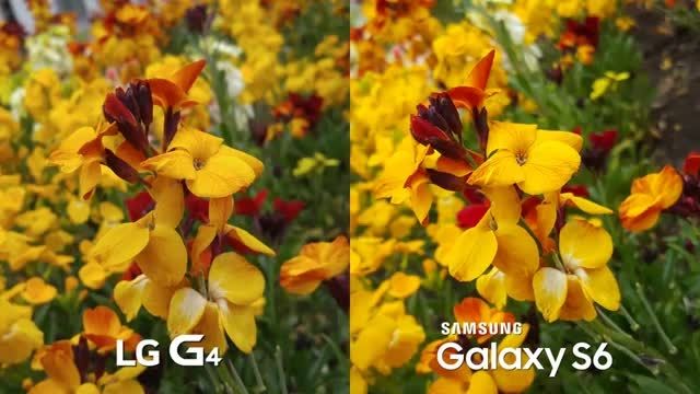 مقایسه دوربین galaxy s6 vs lg g4