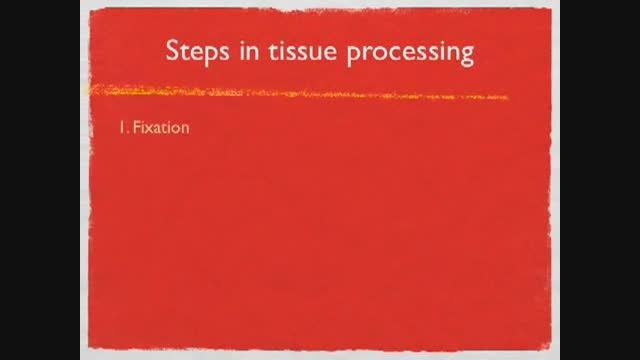 tissue processing for light microscope