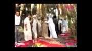 رقص عربی-اهواز