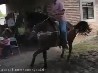رقص اسب