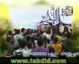 حاج محمدرضاطاهری-استقلالی ها