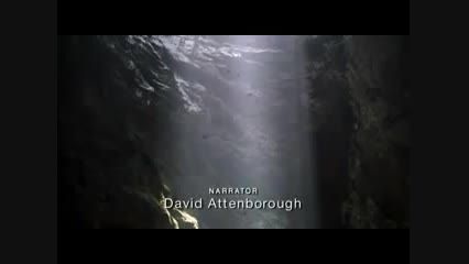 تریلر مستند Planet Earth: Caves 2006