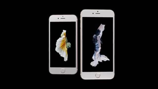 iPhone 6s and iPhone 6s Plus -آشکار
