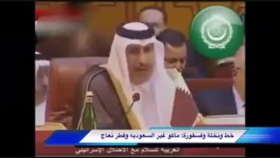 وزیر عرب: اغلب عرب ها گوسفندند و پاسخ سید حسن نصرالله