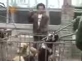 کشتن وخوردن سگ در چین