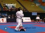 مبارزه ی دیدنی کاراته