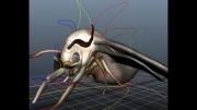 رجینگ حشرات   در مایاcaracter  rigging insect-2