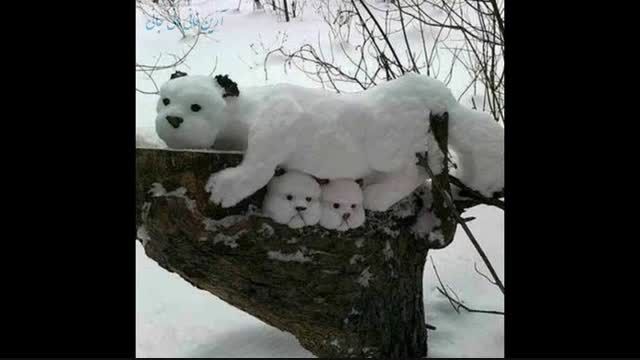 خرس از جنس برف