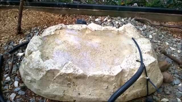 روش ساخت حوض آبتنی طوطی در قفسهای بزرگ حرفه ایی