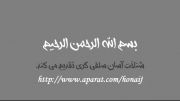 دستگیری حسن فرحان مالکی توسط آل سعود