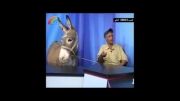 مصاحبه با یک الاغ در برنامه زنده و در یک شبکه اردنی