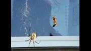 شکار زنبور توسط عنکبوت در چند ثانیه
