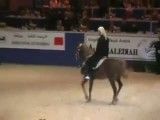 رقص اسب - اسب عرب - اسب