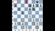 اشتاباهاتی که در شطرنج زیاد رخ می دهد