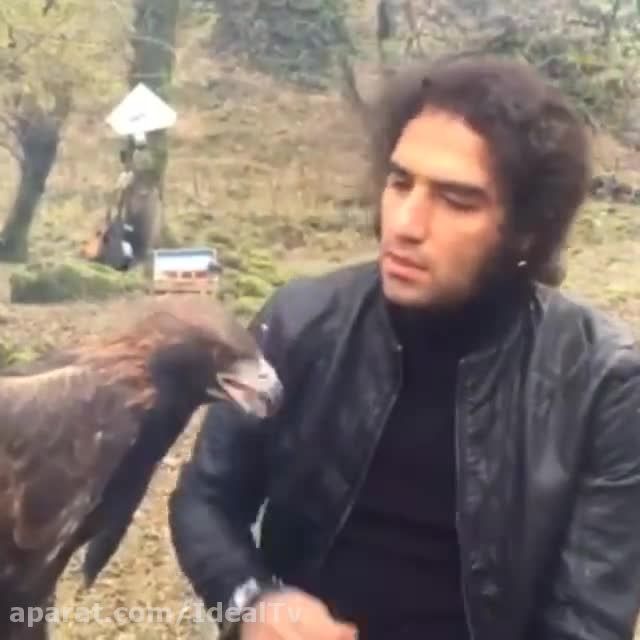 رضا یزدانی و غذا دادن به عقاب