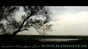 جنگل حمیدیه-غابة الحمیدیه