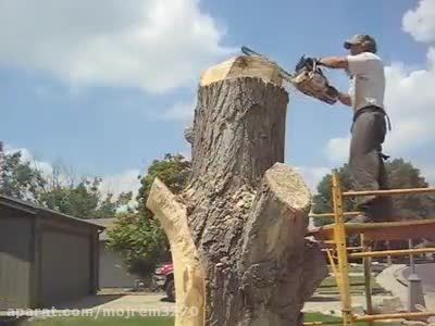 چگونه تنه درخت قطع شده در حیاط خانه خود را زیبا کنیم