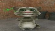 talking tom cat