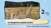 آموزش فرانسه با ویدیو 9 (حیوانات استرالیایی)