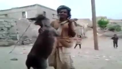 رقص با خر
