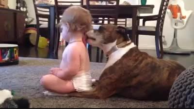 سگی که با لیس زدن بچه رو تمیز میکنه
