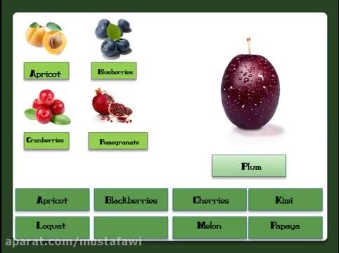 آموزش کلمات جدید زبان انگلیسی (میوه ها و آجیل ها) 3