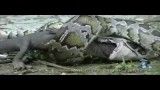 صحنه نادری از خورده شدن تمساح توسط مار پیتون +فیلم
