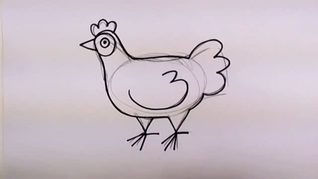 چگونه یک مرغ زیبا نقاشی کنیم ؟ (مرحله به مرحله)