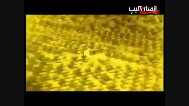 حمله پهبادهای حزب الله به تروریست های تکفیری النصره