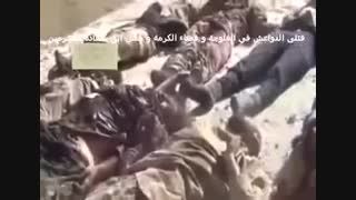 عاقبت سلفی(571)-سوریه-عراق-داعش