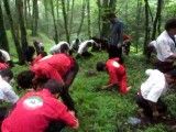 تمرینات جنگل پرتوآ