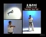 shinkyokushin Taikyoku Sono Ichi