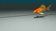 3D Goldfish WIP