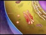 انیمیشن اندامک های سلولی و کاربرد آنها
