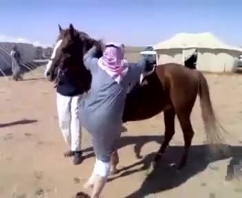 اسب سوار شدن عرب ها